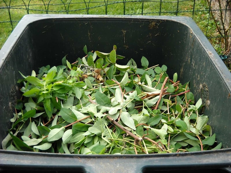 Composting Ideas